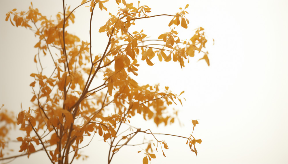 Comment Hotmail lutte contre le spam et protège votre boîte de réception